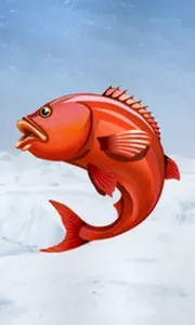 Ice Fishing