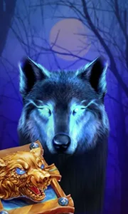 Book Of The Night Wolf